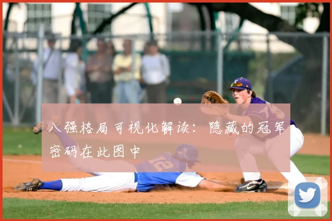 八强格局可视化解读:隐藏的冠军密码在此图中