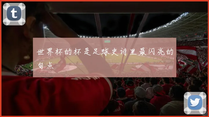 世界杯的杯是足球史诗里最闪亮的句点