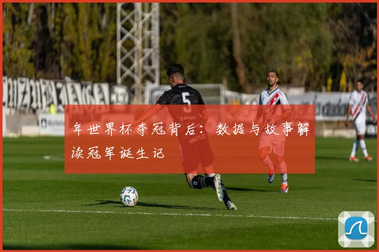 年世界杯夺冠背后：数据与故事解读冠军诞生记