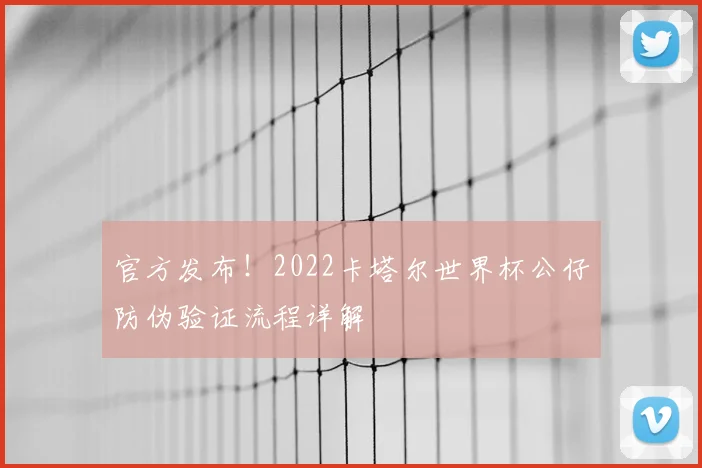 官方发布！2022卡塔尔世界杯公仔防伪验证流程详解