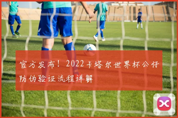 官方发布！2022卡塔尔世界杯公仔防伪验证流程详解
